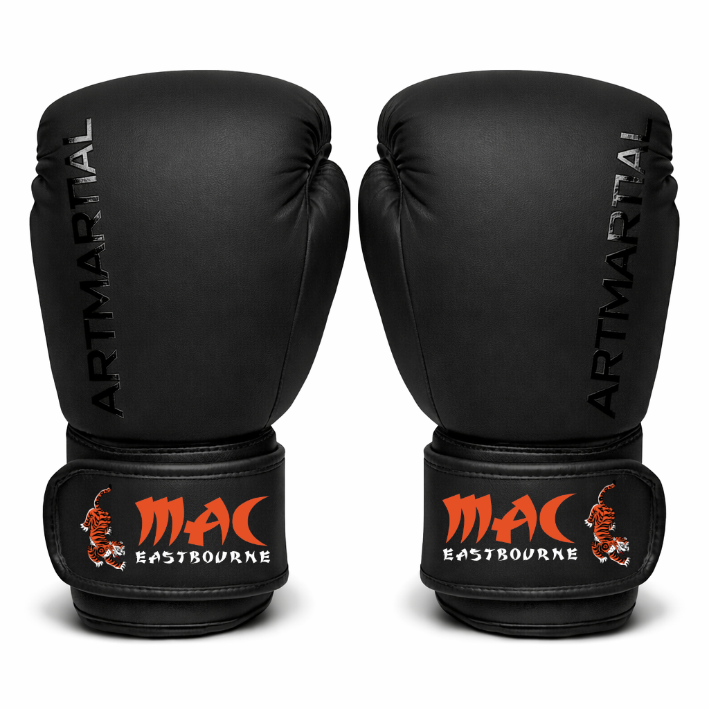Martial Arts Eastbourne - Boxing Gloves (All Sizes)