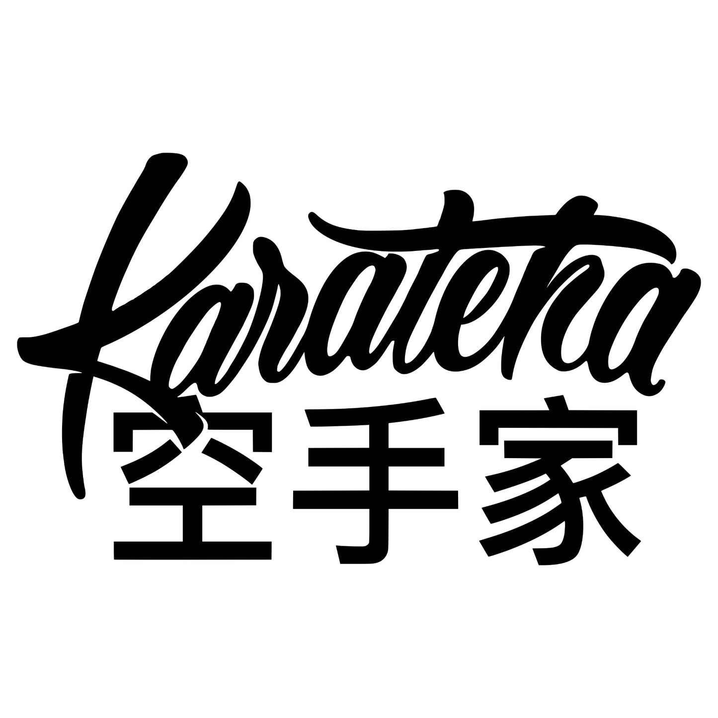 'Karateka 2.0'