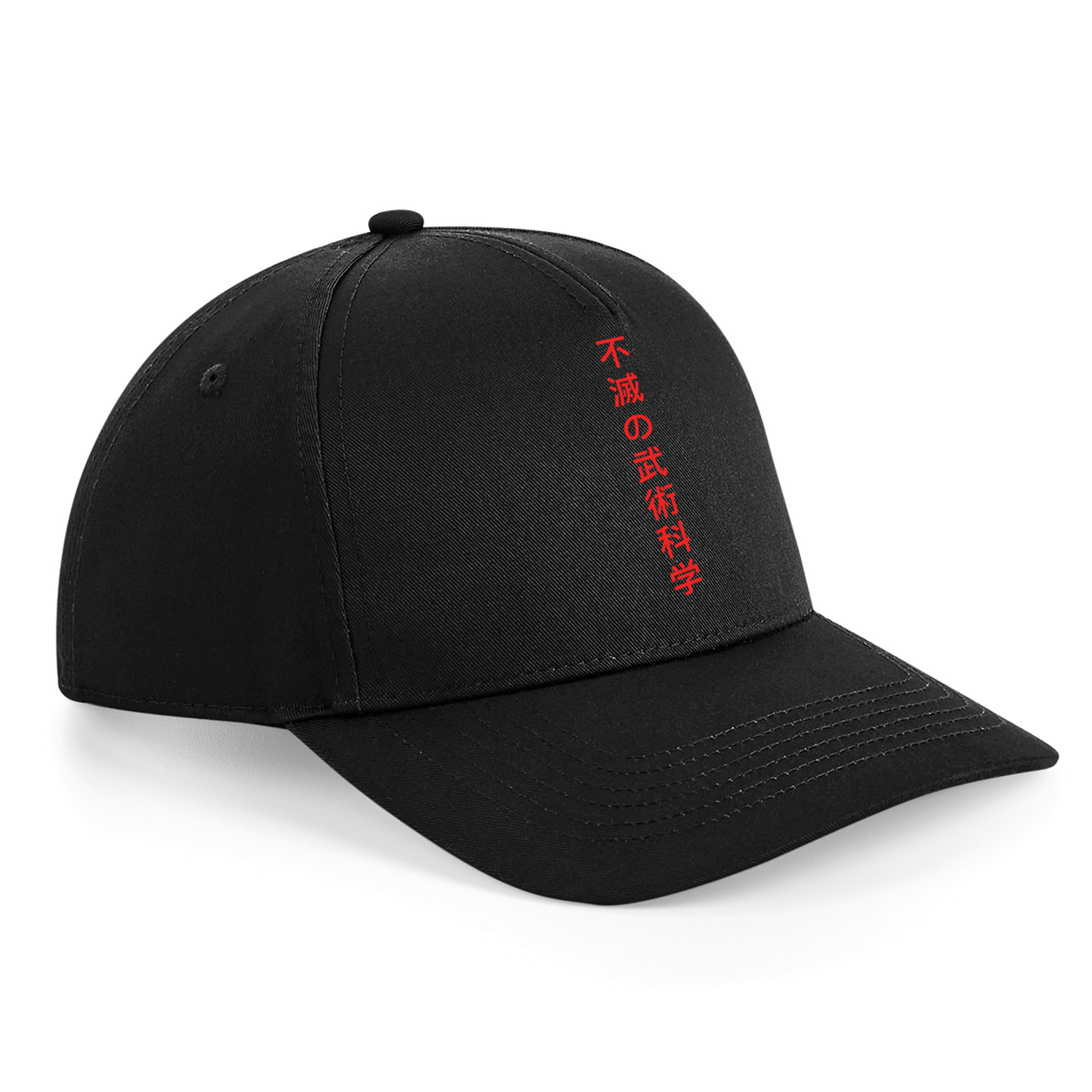 Immortal Martial Science - Baseball Cap (All Colours & All Styles)