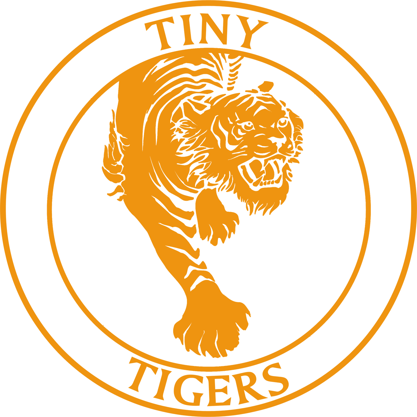 Tiny Tigers Orange - Junior Hoody